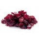 Organic Dried Cranberries-1lb